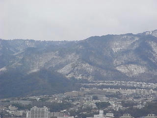 R0010774.JPG