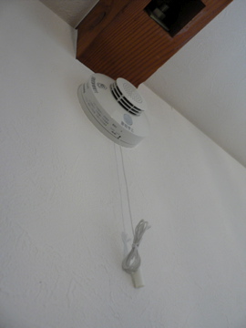 P1040439.jpg