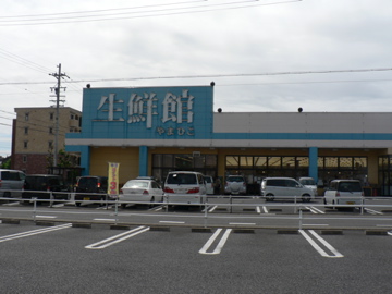 3a8f31e9.jpg