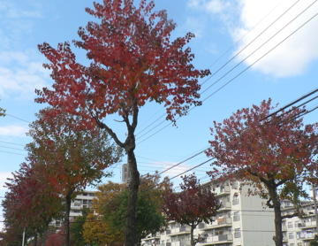 P1040636_2.jpg
