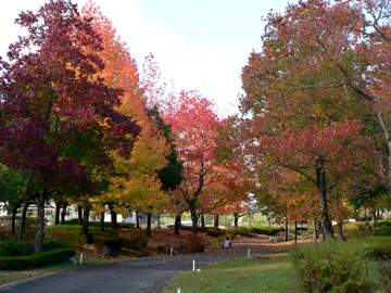 P1050005_2.jpg