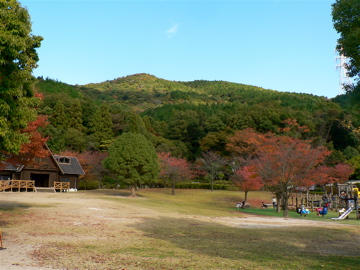 P1050008_2.jpg