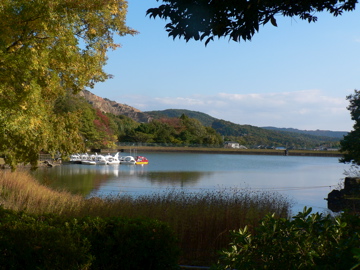 P1050011_2.jpg