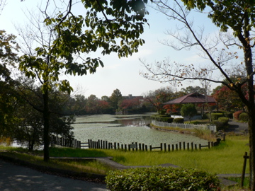 P1050012.jpg