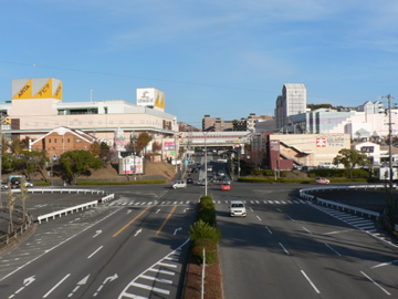 P1050026.jpg