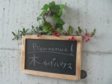 P1050052.jpg