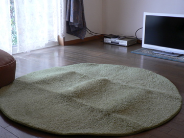 P1050075.jpg