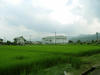 IMG_4448.JPG