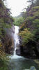 NEC_0050.JPG