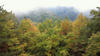 NEC_0058.JPG