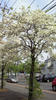 NEC_0402.JPG