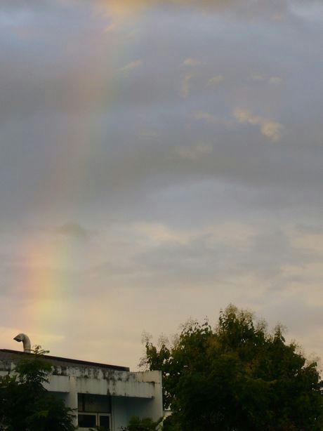rainbow.jpg