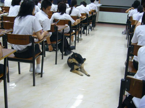 test.jpg