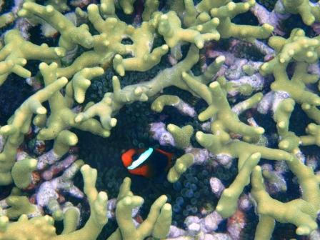PB130134.jpg