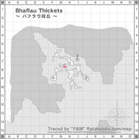 Bhaflau-Thickets_01.jpg