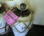 D1000035.JPG