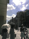 D1000041.jpg