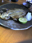 20100821070018.jpg