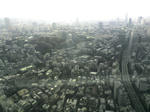 20101006135855.jpg