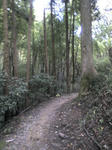 20101103155221.jpg