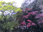 20101114103228.jpg