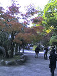 20101114103257.jpg