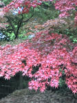 20101114103322.jpg