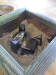 20101121113727.jpg