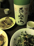 20110120225353.jpg