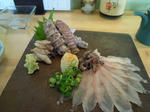 DSCN0452.JPG