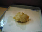 DSCN0663.jpg