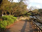 DSCN0755.JPG
