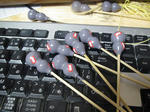 resize0050.jpg