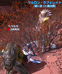 tera_20111003_02.jpg