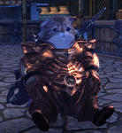 tera_20111123.jpg