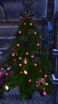 tera_20111217_01.jpg