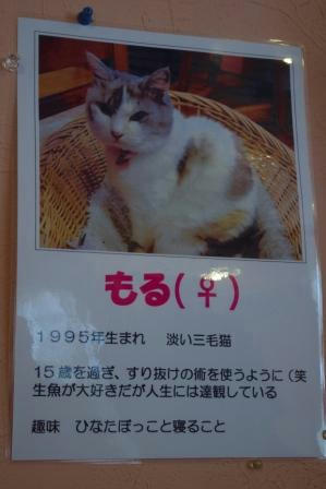 IMGP5776.JPG