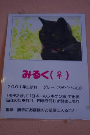 IMGP5777.JPG