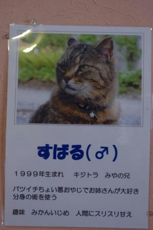 IMGP5778.JPG