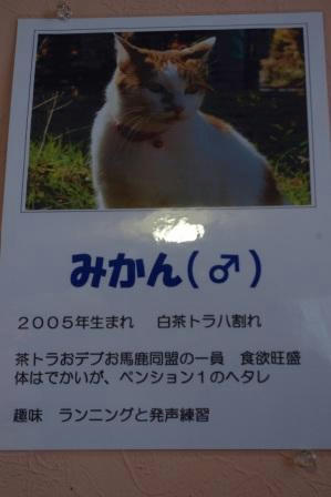 IMGP5779.JPG