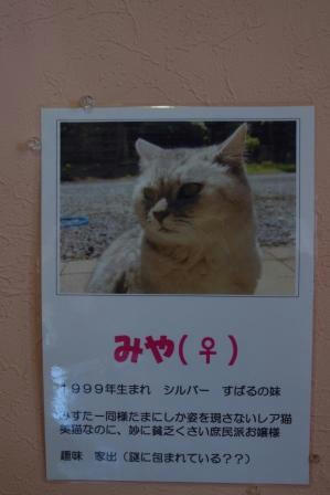 IMGP5780.JPG