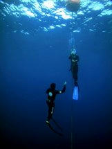 freediving_line.jpg