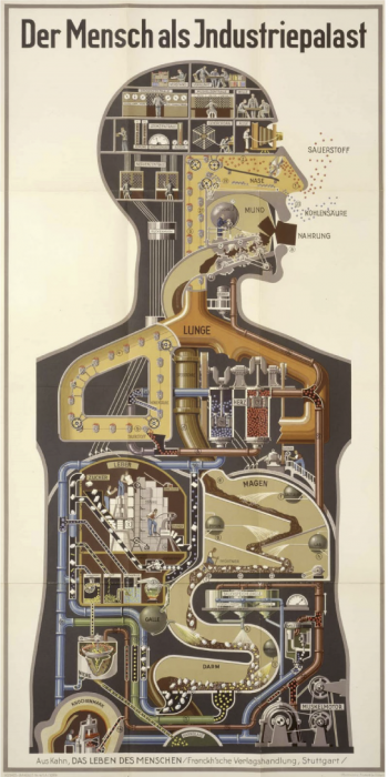 ALB_blog_110416_y6_fritz-kahn-16-351x700.png