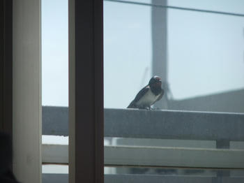 DSCF0656.JPG