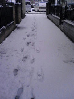 080203_1019~01.jpg