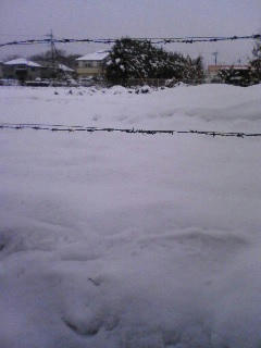 080203_1021~01.jpg