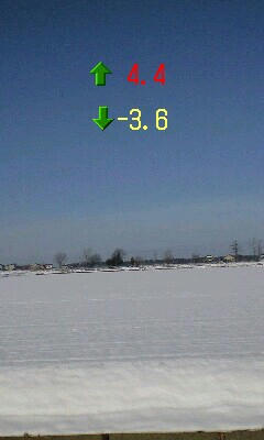 11月29日の気温