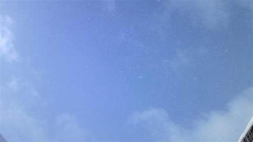 あおぞらと雪ふり
