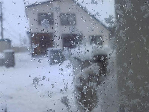 窓に雪