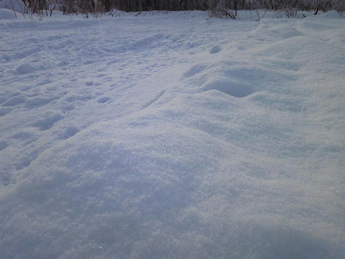 雪がキラ